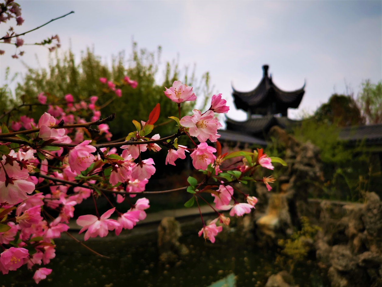 说明: https://boot-img.xuexi.cn/image/1006/process/622f2fcf1d5c4ef590d078d865823700.jpg
